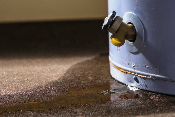 Best Sewage cleanup and water damage restoration  in Pinewood Estates, TX