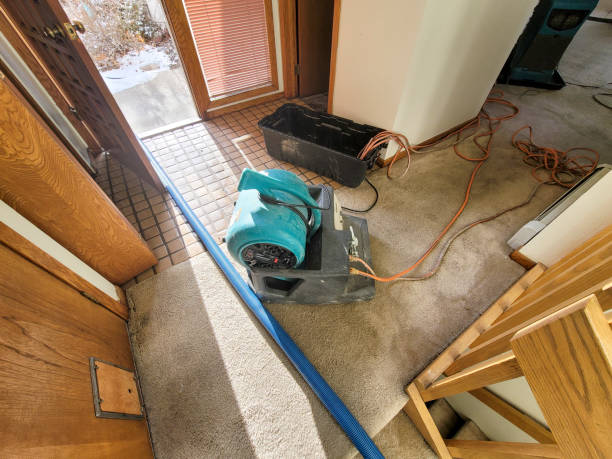 Best Water damage contractors near me  in Pinewood Estates, TX