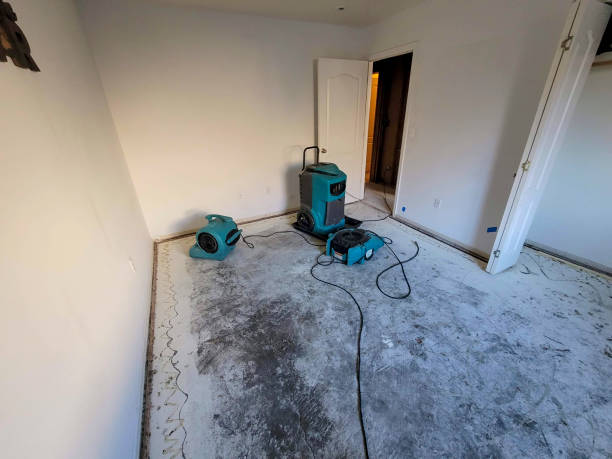 Trusted Pinewood Estates, TX Water damage restoration Experts