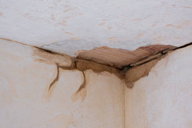 Water damage restoration experts in Pinewood Estates, TX