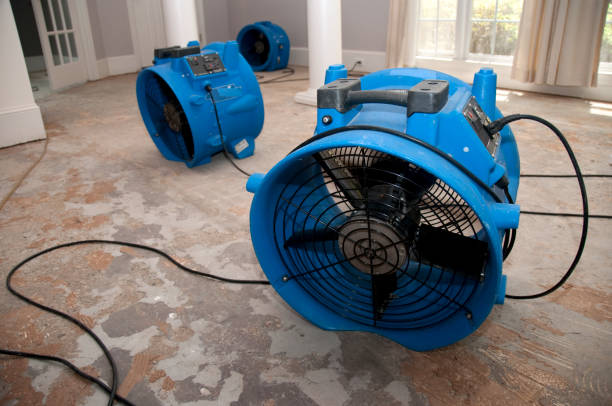 Best Residential water damage restoration  in Pinewood Estates, TX