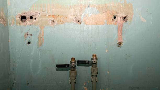 Best Basement water damage restoration  in Pinewood Estates, TX