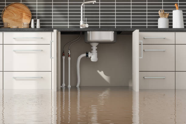 Best Flood damage cleanup  in Pinewood Estates, TX